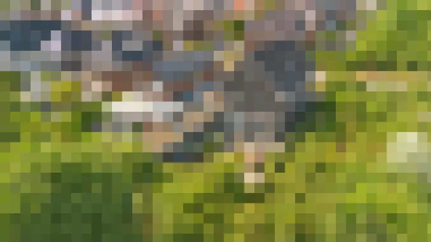 Stormzeil 1 Almere thumbnail 47