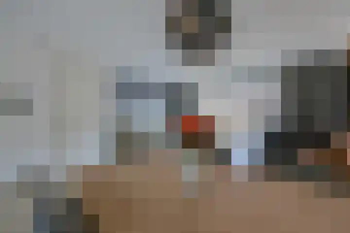 Stormzeil 81 Almere thumbnail 10