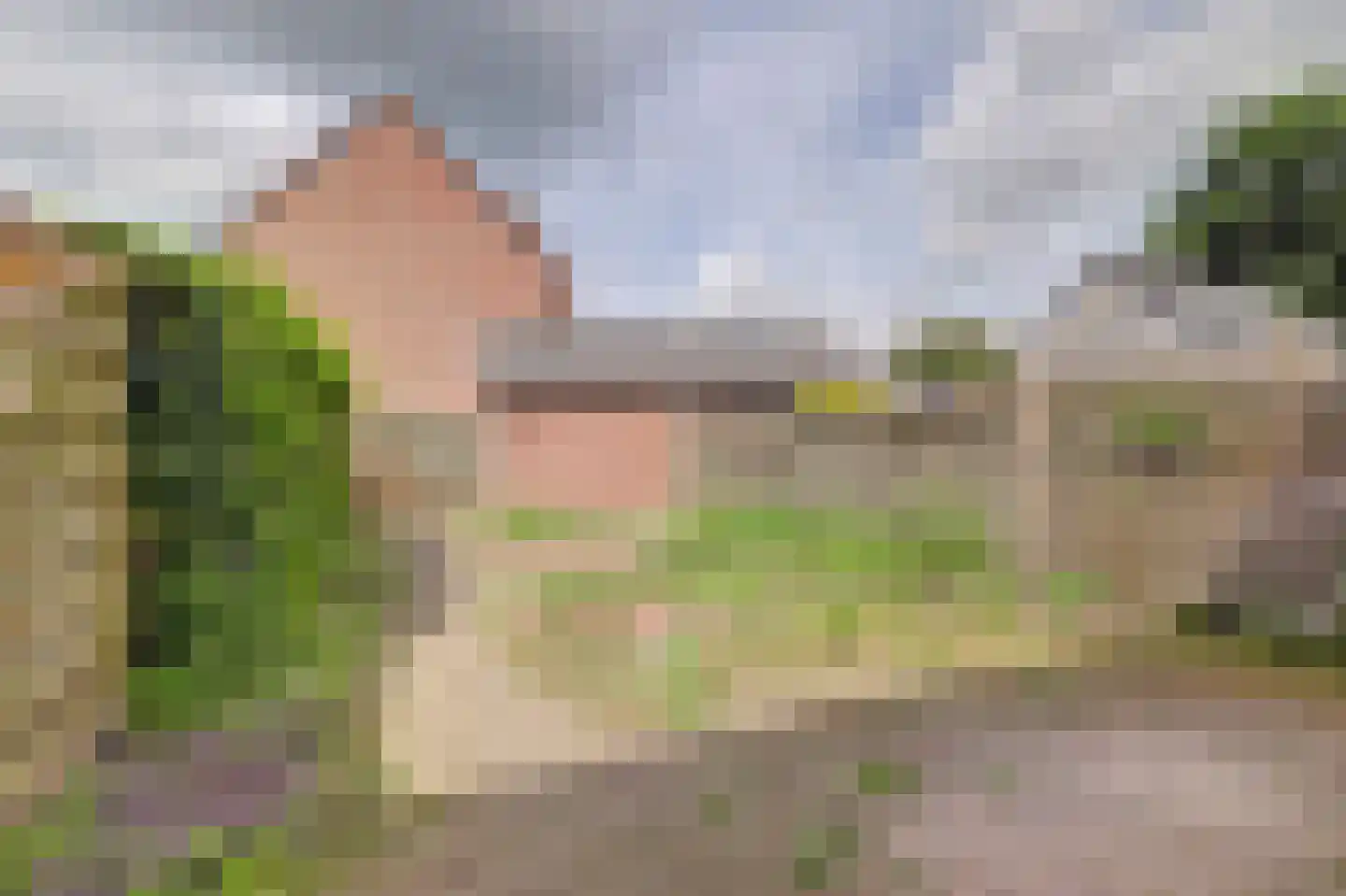 Stormzwaluw 20 Veenendaal thumbnail 30