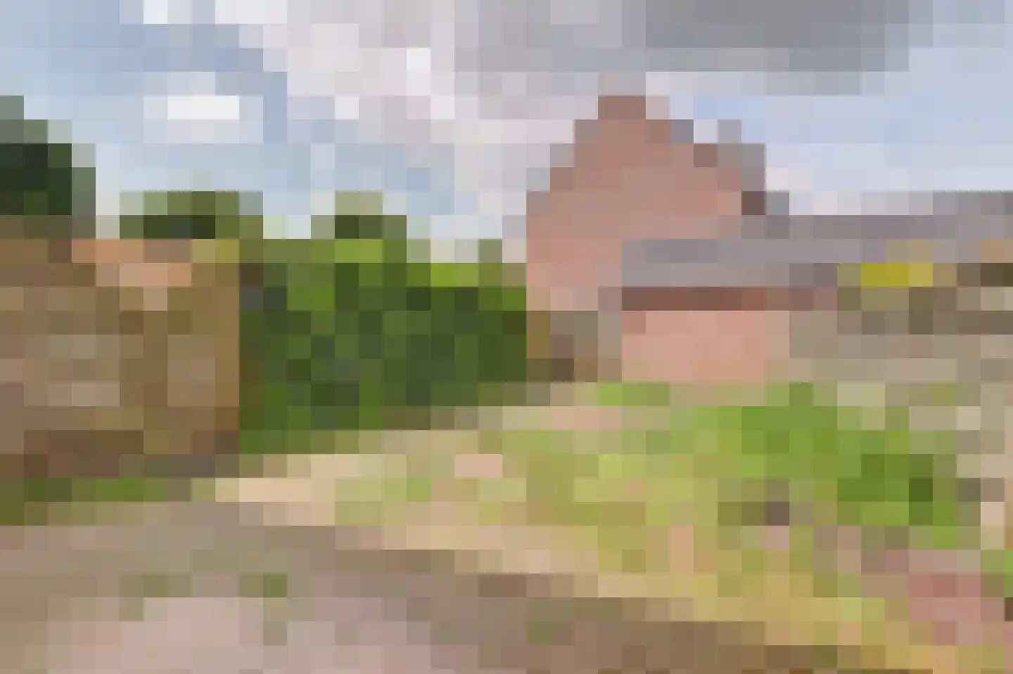 Stormzwaluw 20 Veenendaal thumbnail 31