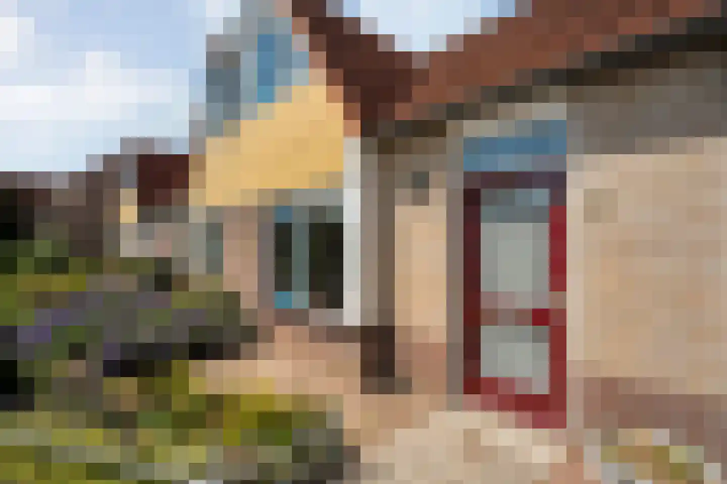 Storrenhoeve 51 Steenwijk thumbnail 11