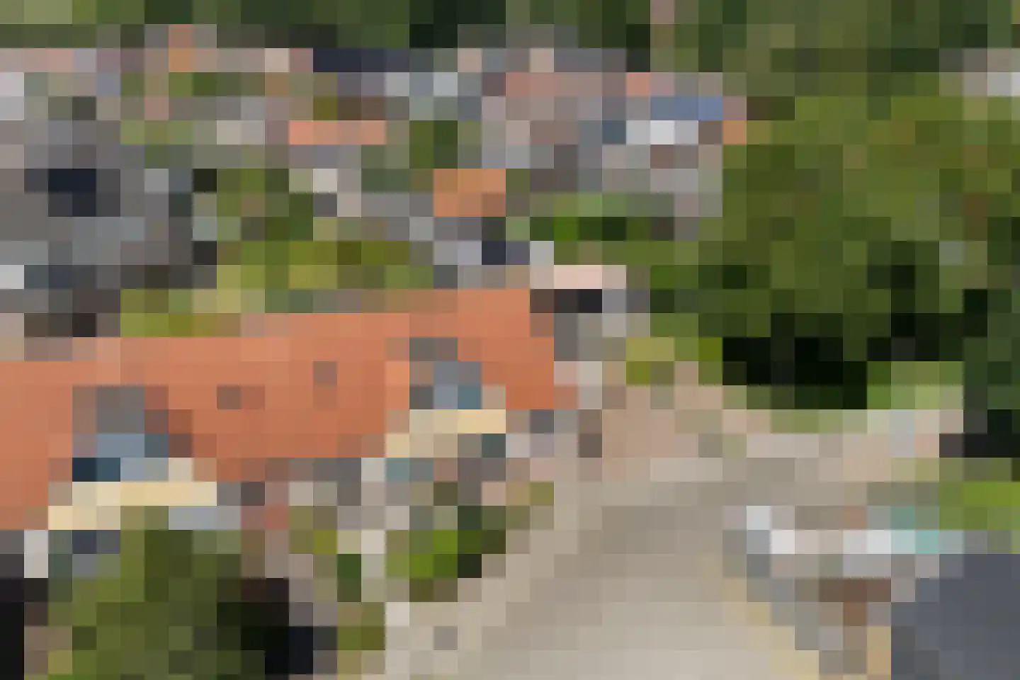 Storrenhoeve 51 Steenwijk thumbnail 4