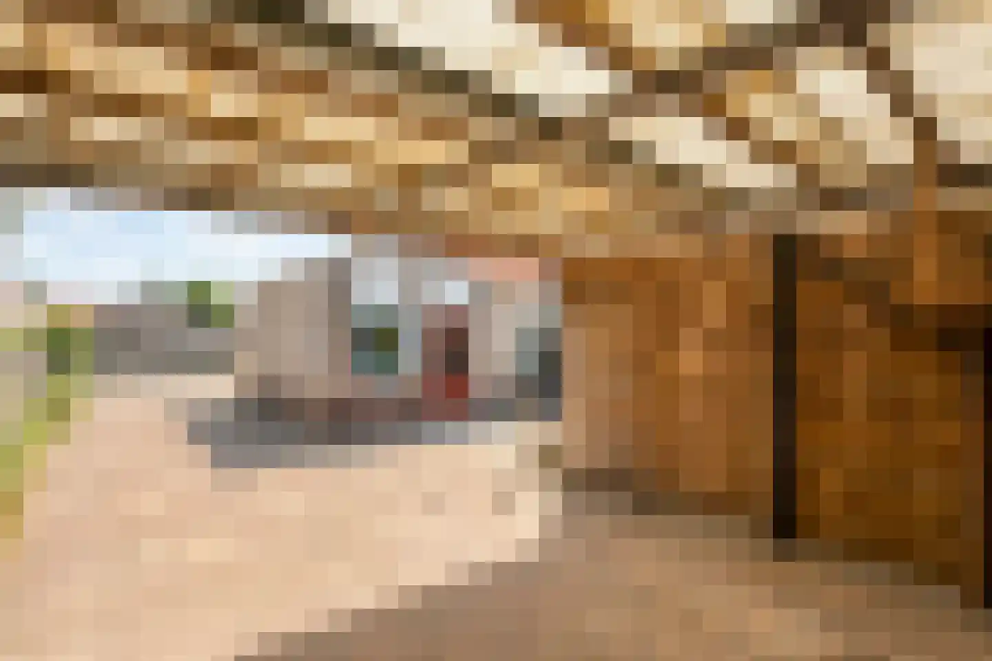 Storrenhoeve 51 Steenwijk thumbnail 41