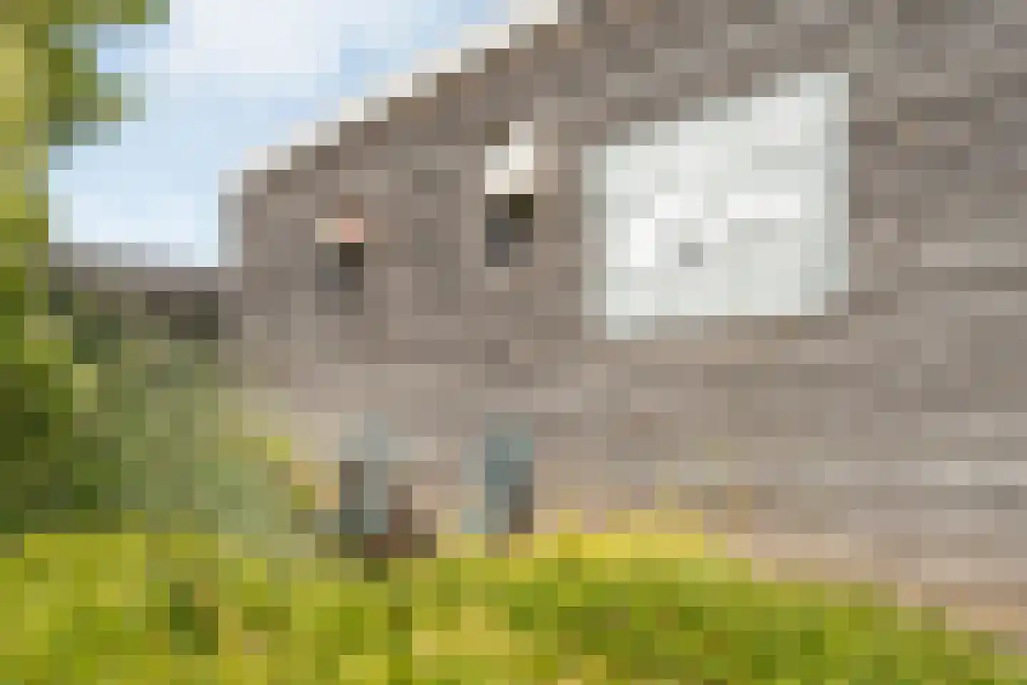 Storrenhoeve 51 Steenwijk thumbnail 45