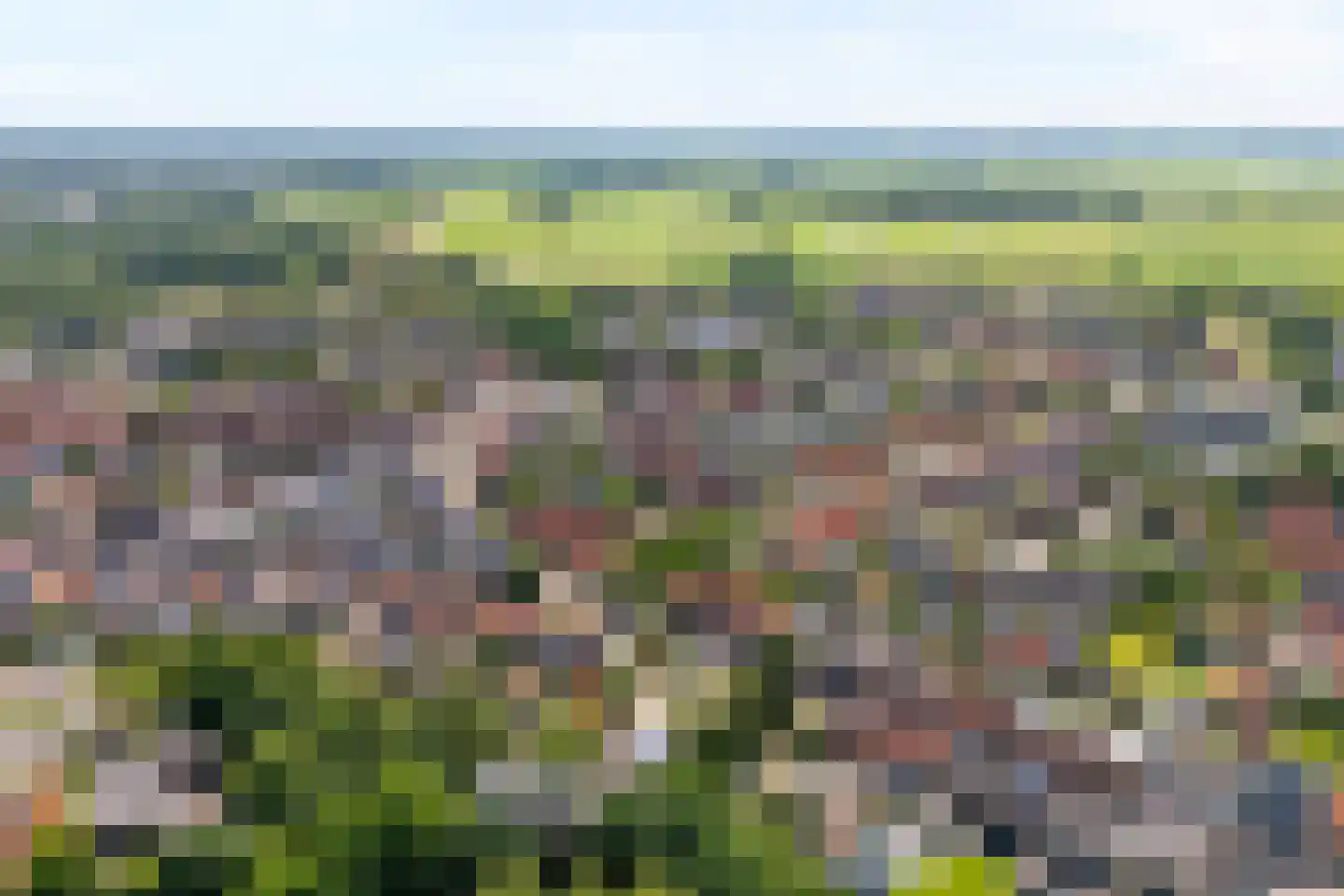 Storrenhoeve 51 Steenwijk thumbnail 7