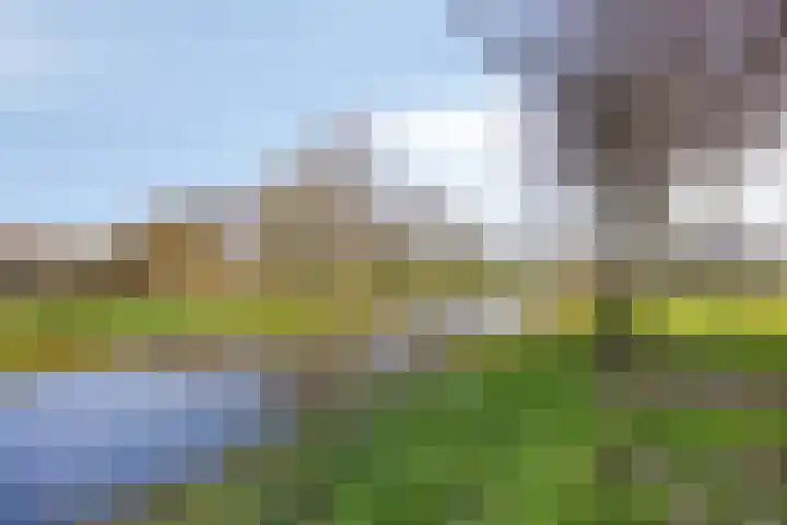 Stortemelk 108 Alphen aan den Rijn thumbnail 26