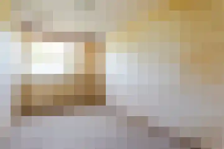 Stortemelk 15 Harderwijk thumbnail 15