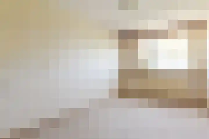 Stortemelk 15 Harderwijk thumbnail 16