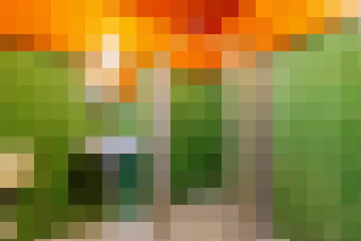 Stortemelk 15 Harderwijk thumbnail 20