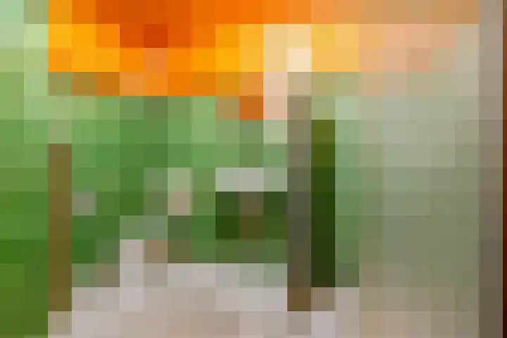 Stortemelk 15 Harderwijk thumbnail 21