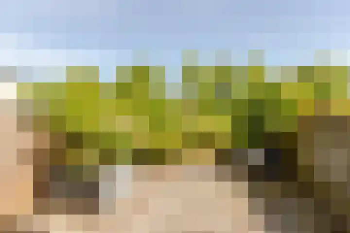 Stortemelk 15 Harderwijk thumbnail 22