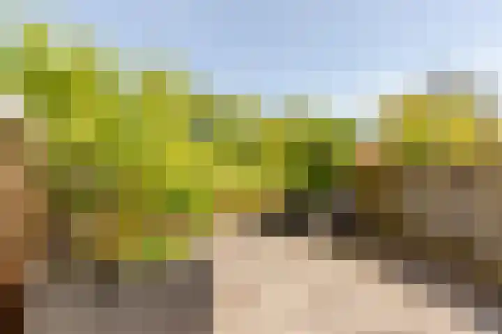 Stortemelk 15 Harderwijk thumbnail 23