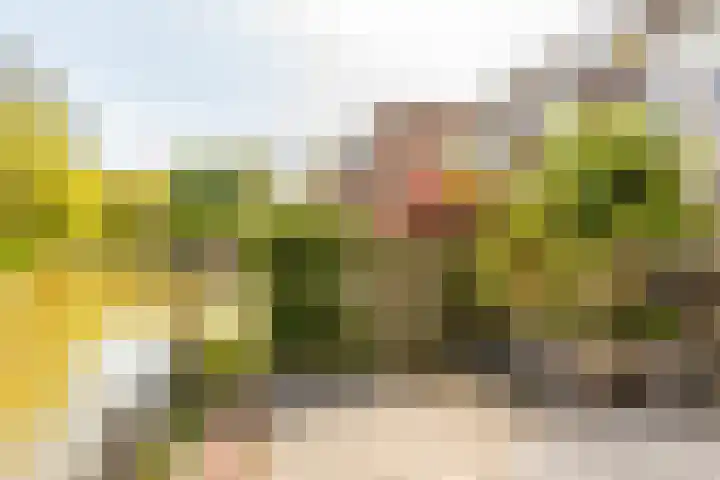 Stortemelk 15 Harderwijk thumbnail 25