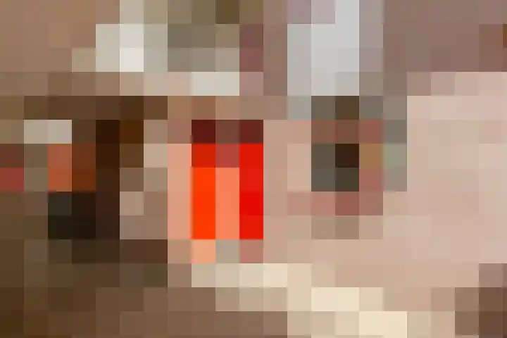 Stortemelk 15 Harderwijk thumbnail 30