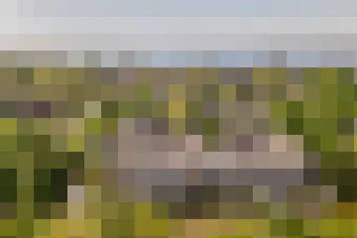 Stortemelk 15 Harderwijk thumbnail 34