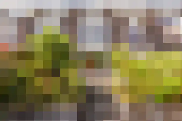 Stortemelk 15 Harderwijk thumbnail 39