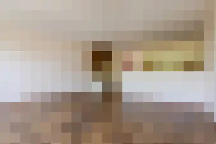 Stortemelk 15 Harderwijk thumbnail 6