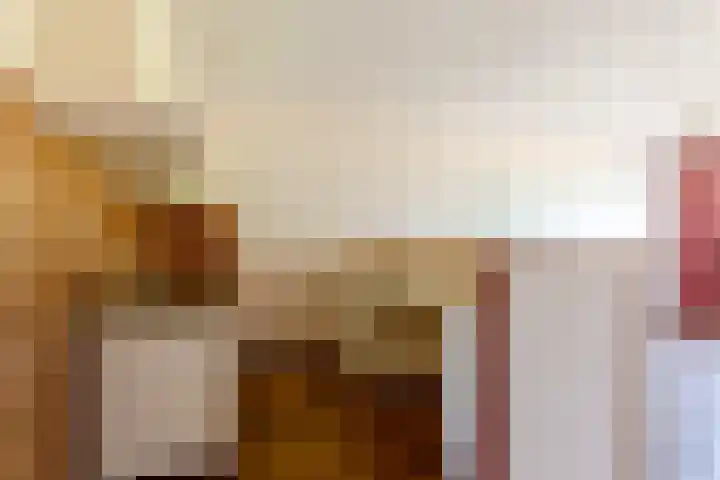 Stortemelk 15 Harderwijk thumbnail 7