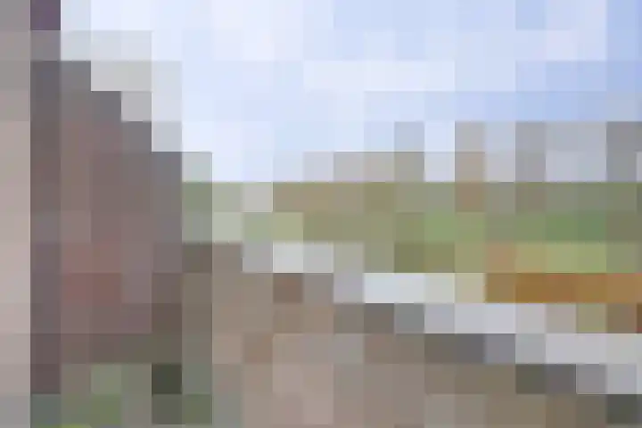 Stortemelk 18 Harderwijk thumbnail 27