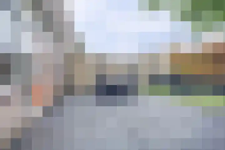 Stortemelk 18 Harderwijk thumbnail 29