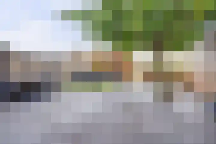 Stortemelk 18 Harderwijk thumbnail 30