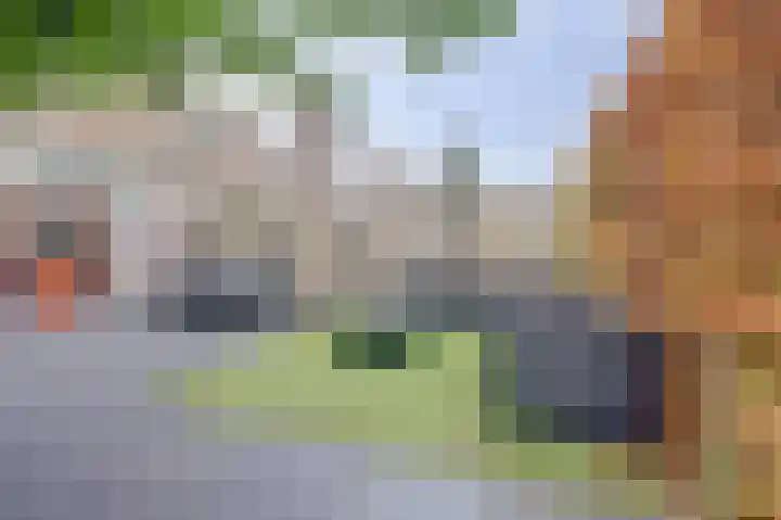 Stortemelk 18 Harderwijk thumbnail 31