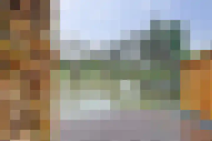 Stortemelk 18 Harderwijk thumbnail 32
