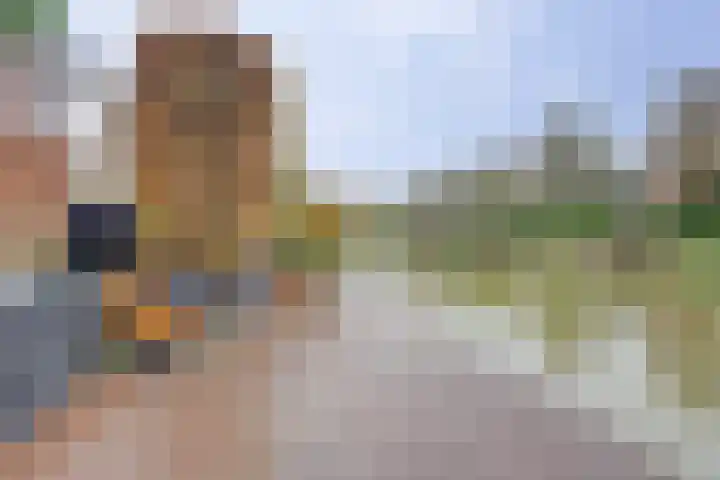Stortemelk 18 Harderwijk thumbnail 33