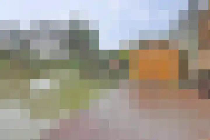 Stortemelk 18 Harderwijk thumbnail 34