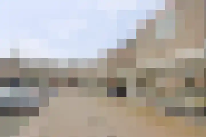 Stortemelk 18 Harderwijk thumbnail 38