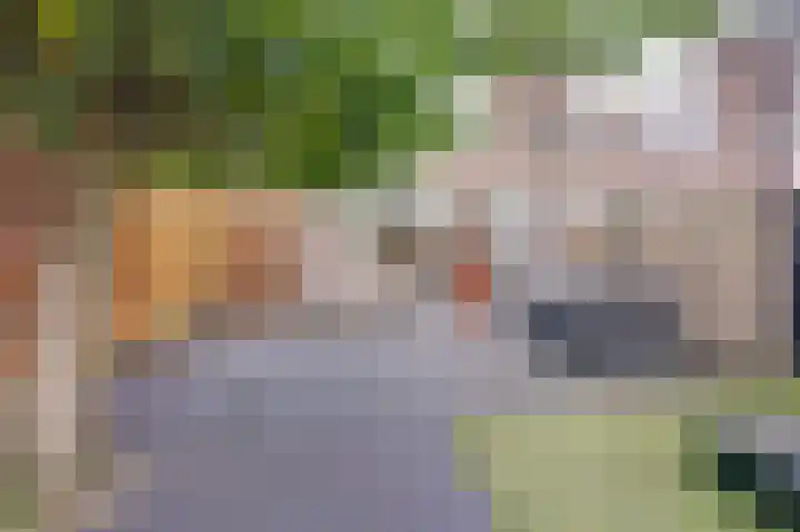Stortemelk 18 Harderwijk thumbnail 4