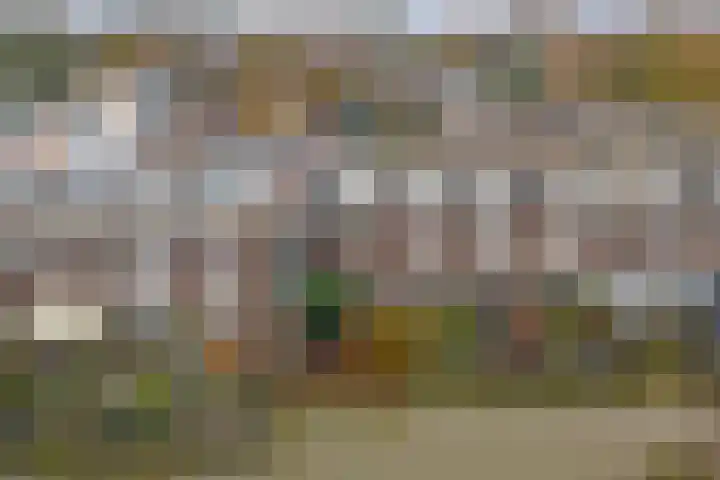 Stortemelk 18 Harderwijk thumbnail 42