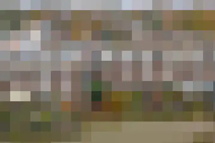 Stortemelk 18 Harderwijk thumbnail 44