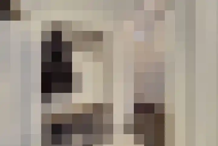 Stortemelk 18 Harderwijk thumbnail 7