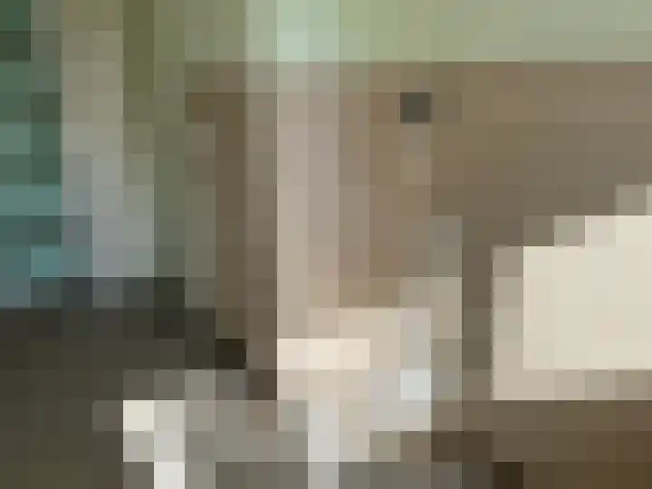 Stortemelk 22 Alphen aan den Rijn thumbnail 14