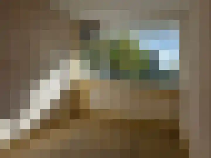 Stortemelk 22 Alphen aan den Rijn thumbnail 24