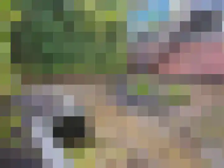 Stortemelk 22 Alphen aan den Rijn thumbnail 29