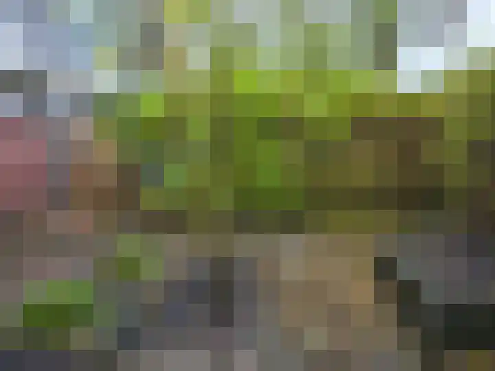 Stortemelk 22 Alphen aan den Rijn thumbnail 30