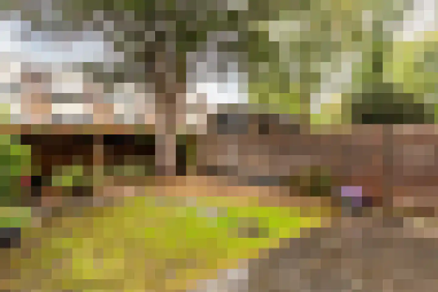 Stortemelk 3 Harderwijk thumbnail 14
