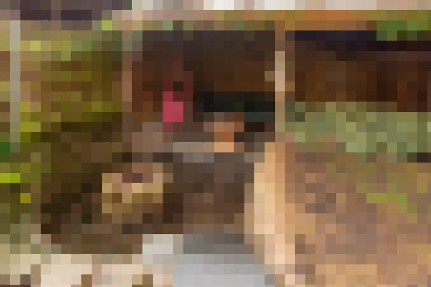 Stortemelk 3 Harderwijk thumbnail 15