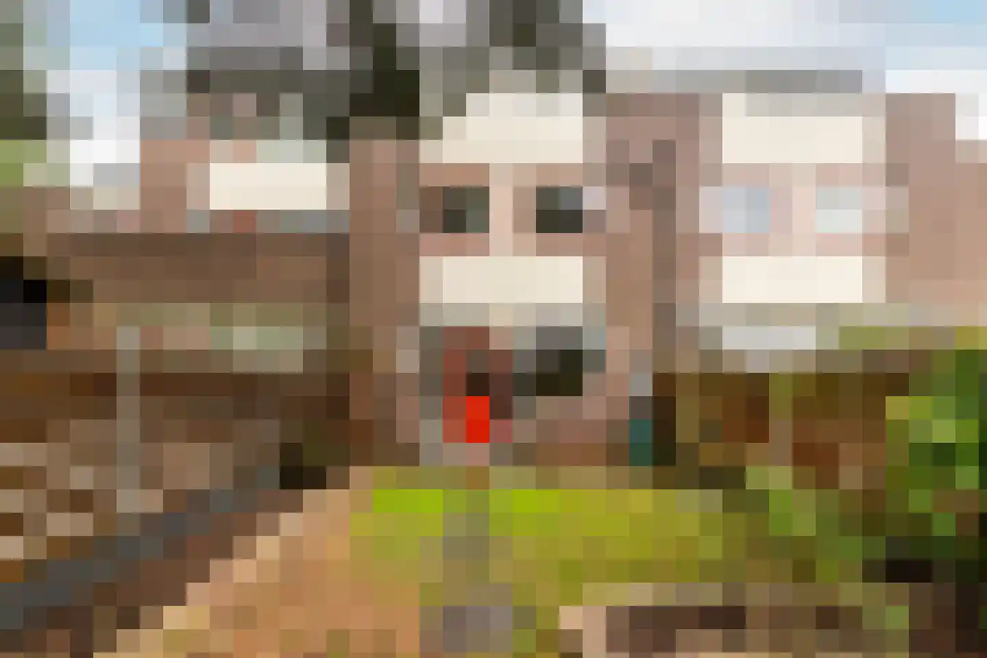 Stortemelk 3 Harderwijk thumbnail 17