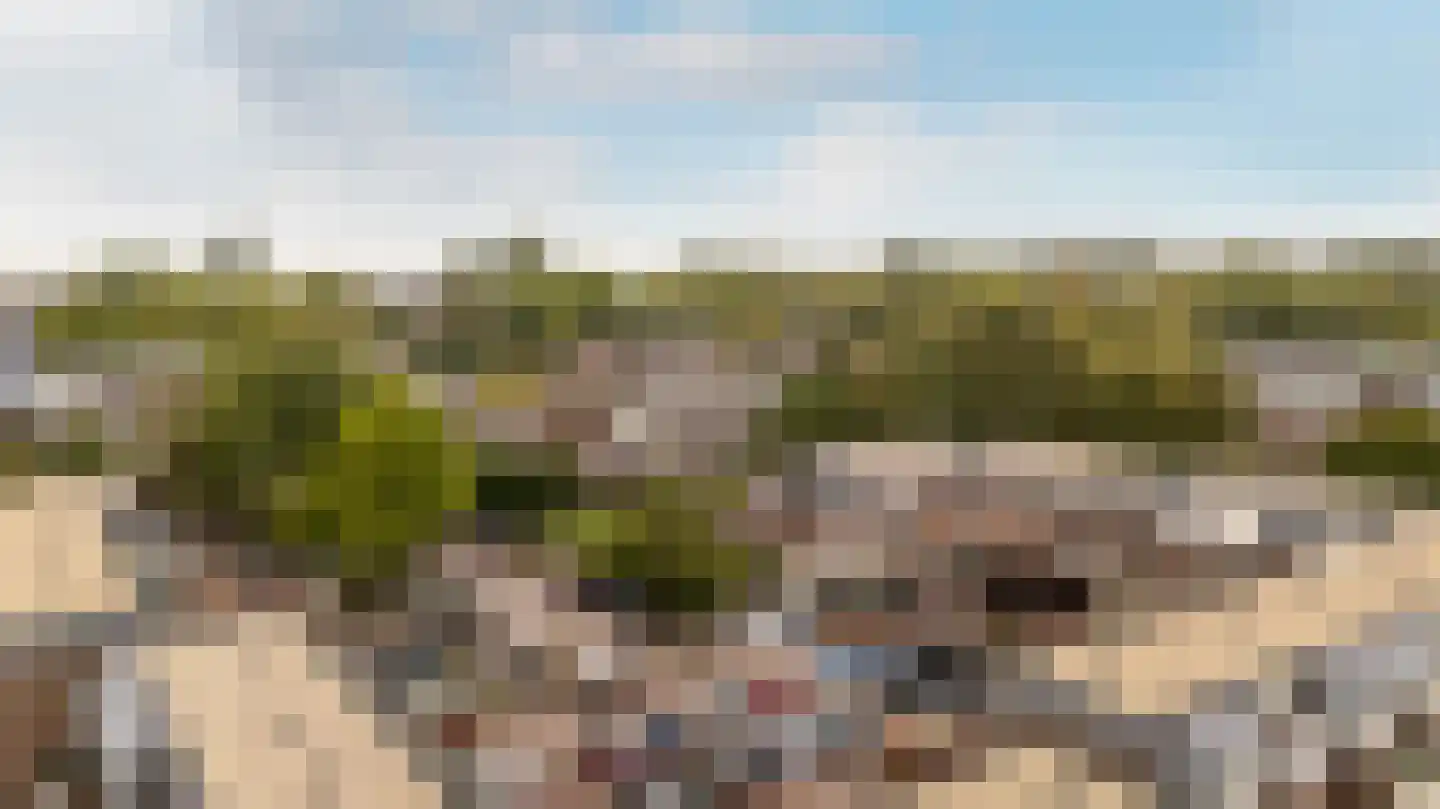 Stortemelk 3 Harderwijk thumbnail 37