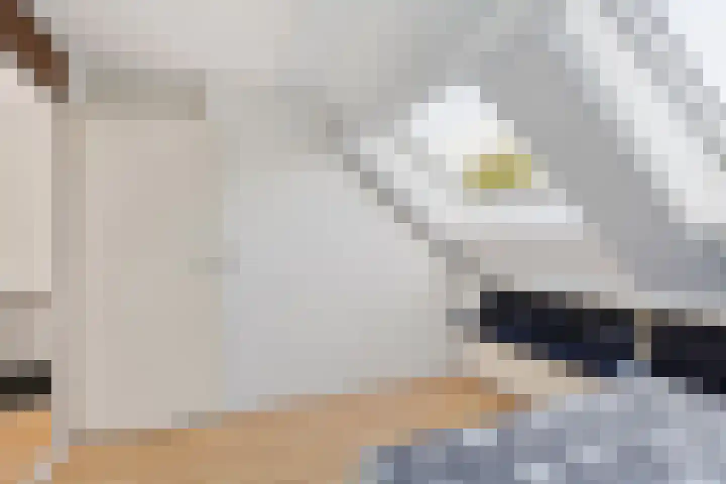 Stortemelk 45 Harderwijk thumbnail 32