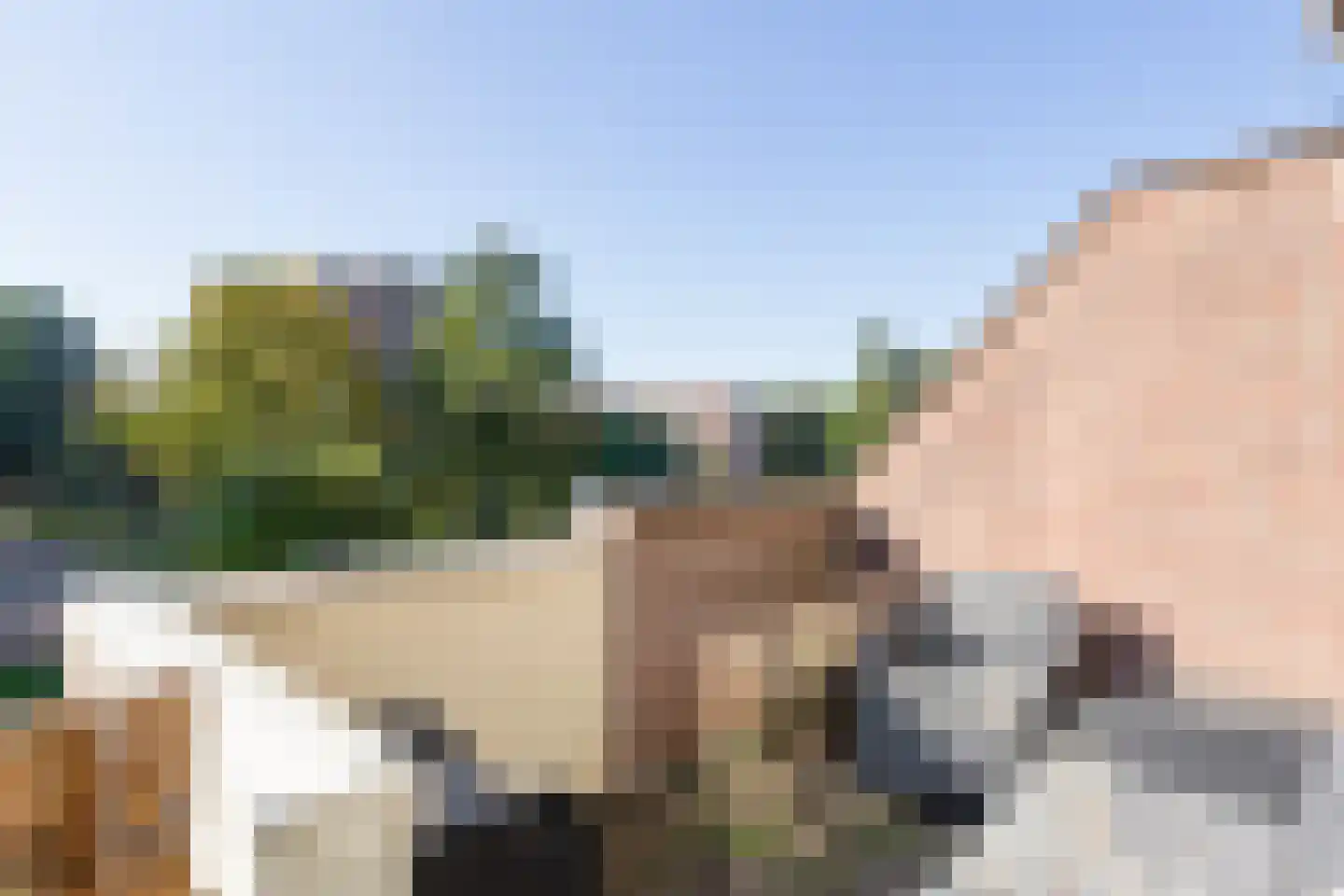 Stortemelk 45 Harderwijk thumbnail 6