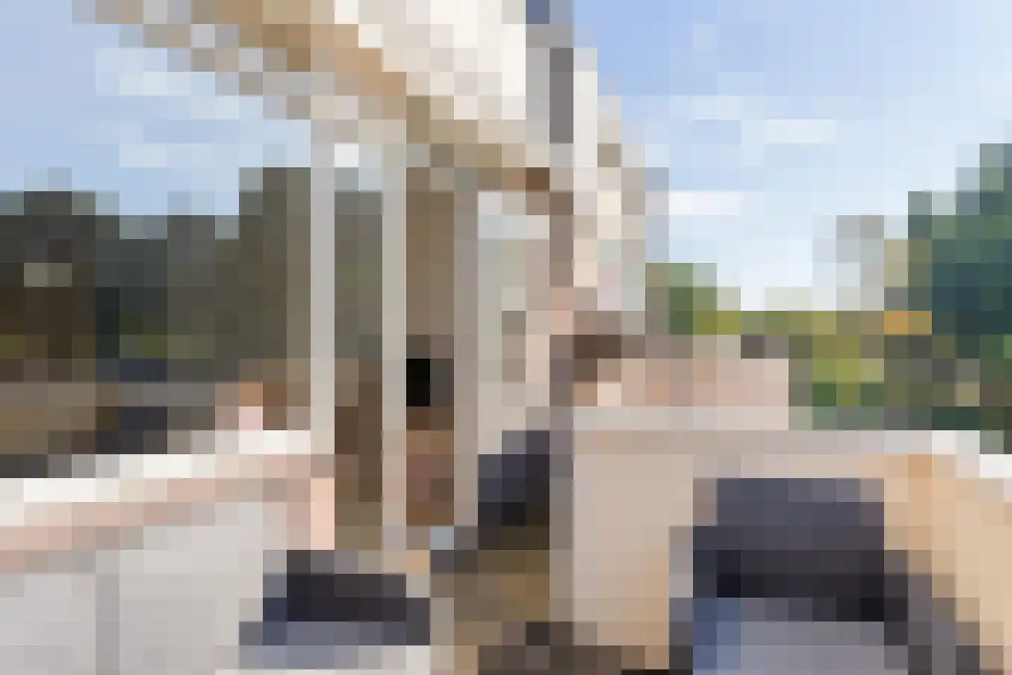 Stortemelk 45 Harderwijk thumbnail 7