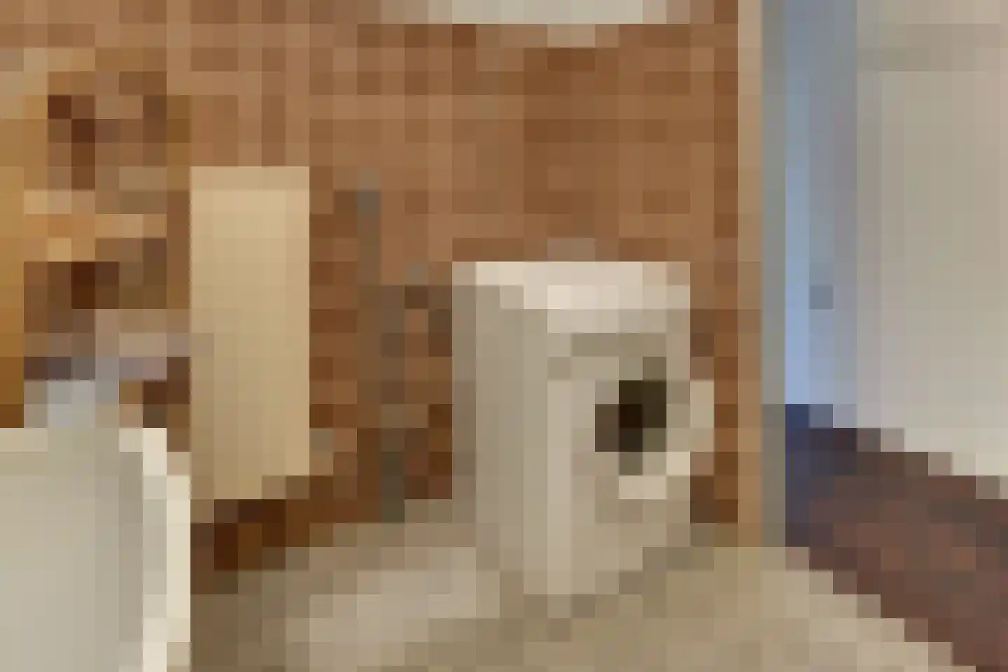 Stortemelk 5 Harderwijk thumbnail 25