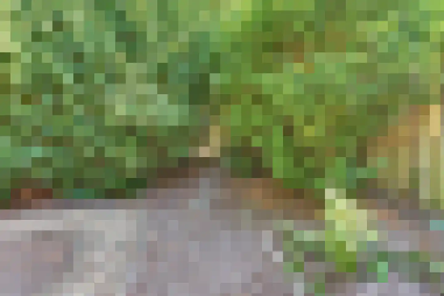 Stortemelk 5 Harderwijk thumbnail 30
