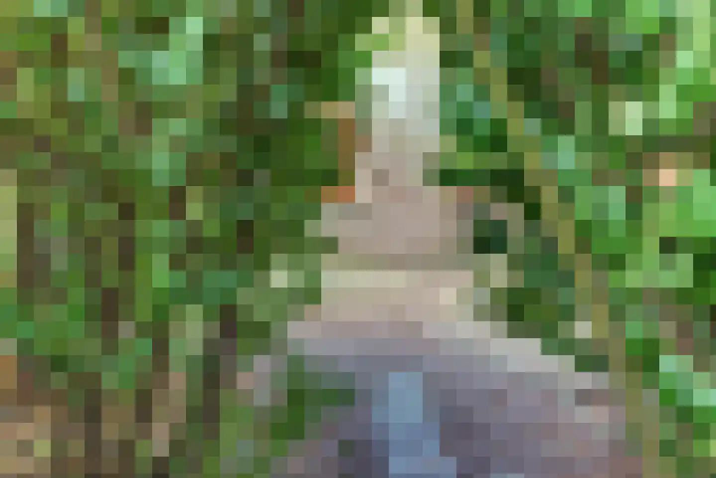 Stortemelk 5 Harderwijk thumbnail 31