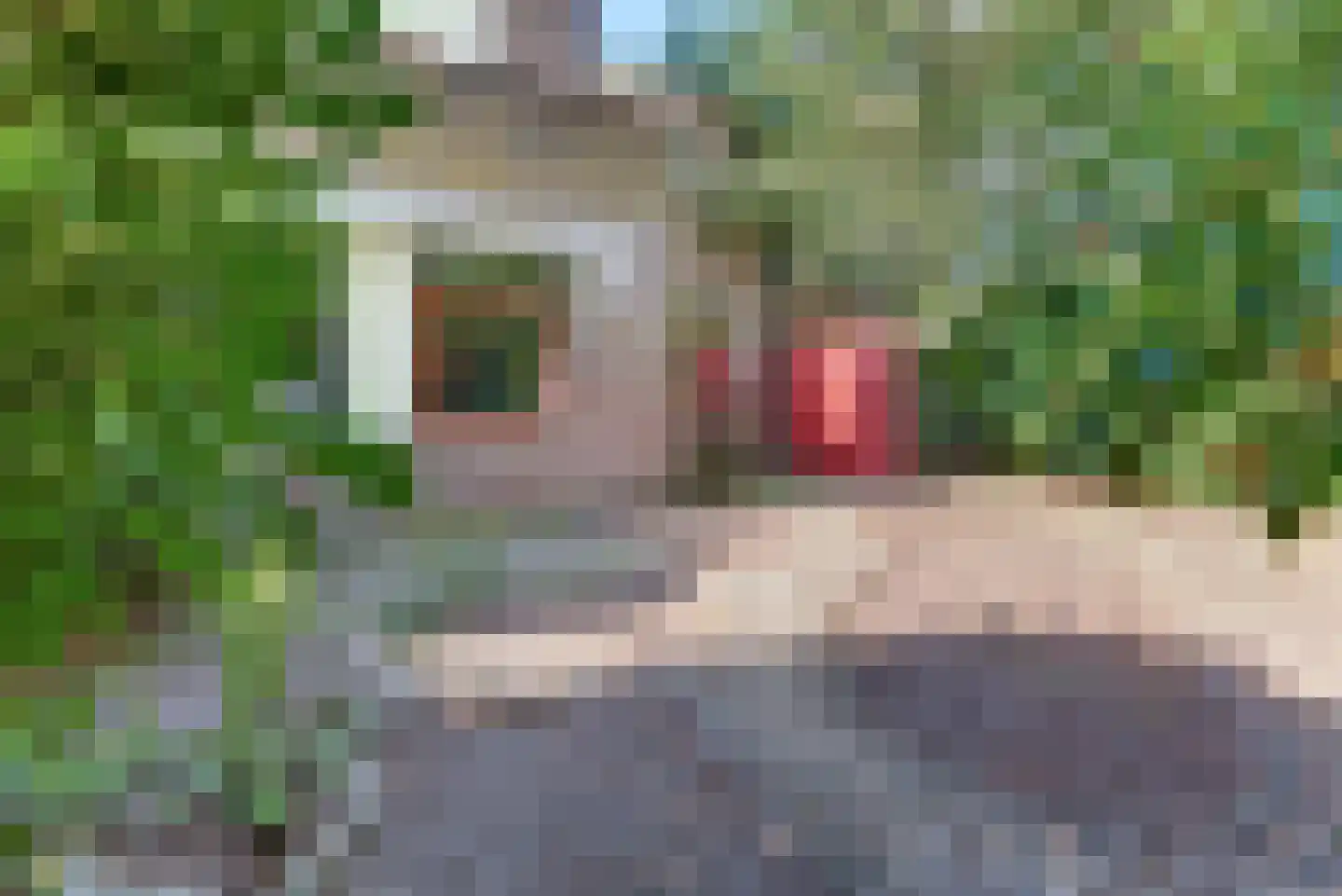 Stortemelk 5 Harderwijk thumbnail 32