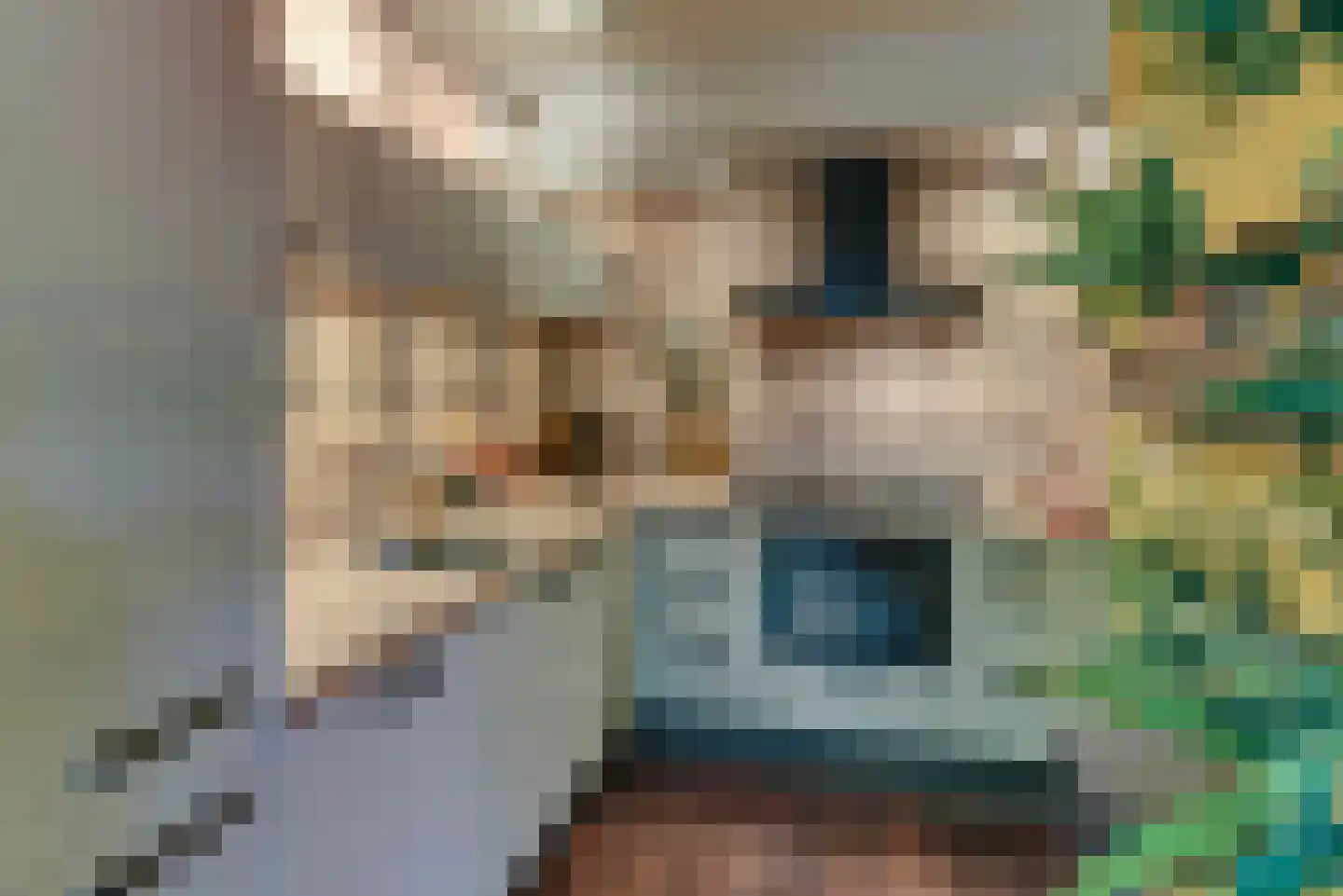 Stortemelk 5 Harderwijk thumbnail 4